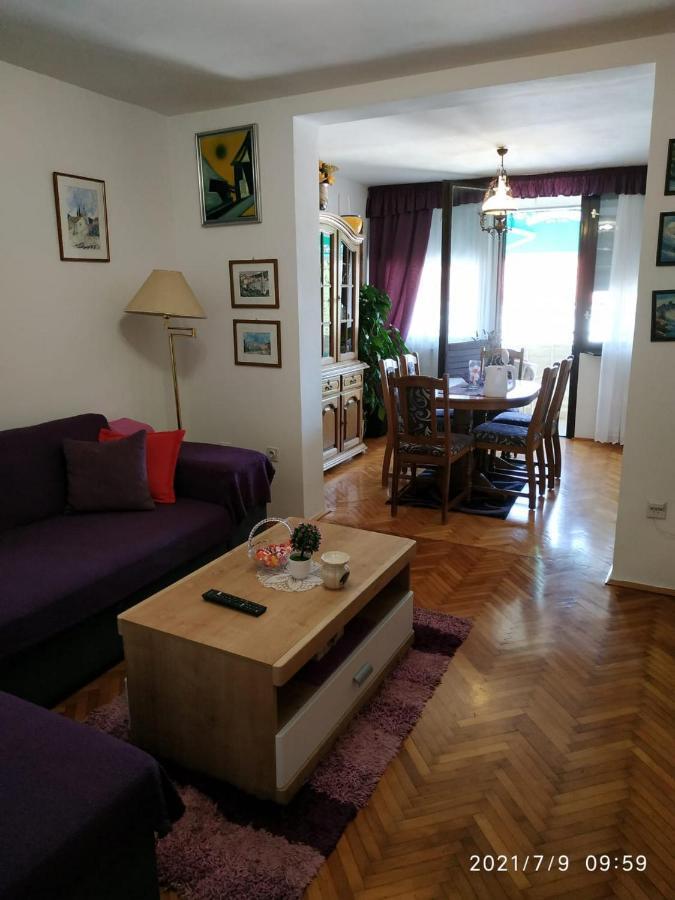 Apartments Raguz ツァヴタット エクステリア 写真